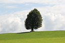 Appenzell (35)