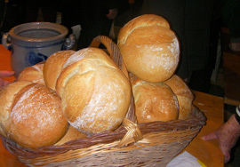Sagra